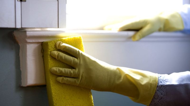 family cleaning windows together in a sunny home